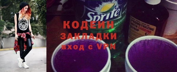 амф Гусев
