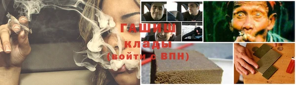 амф Гусев