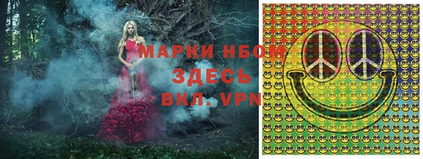 амф Гусев