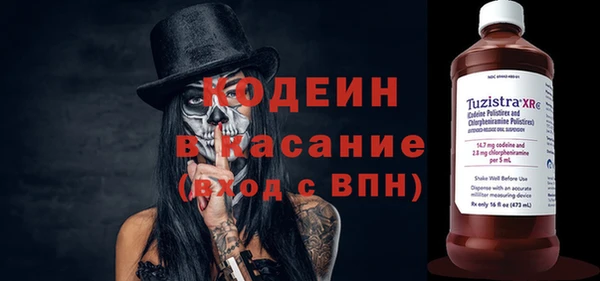 амф Гусев
