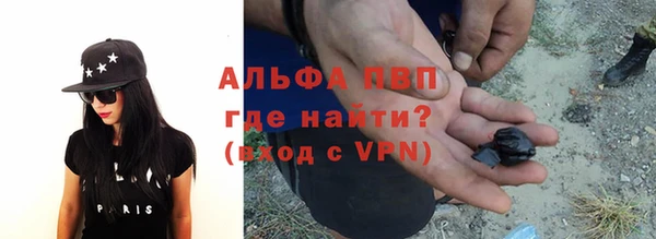 амф Гусев