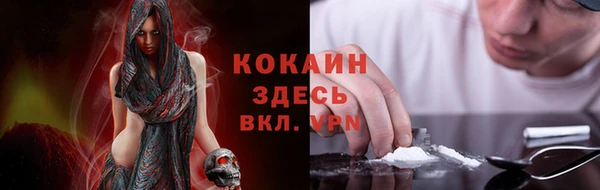 амф Гусев