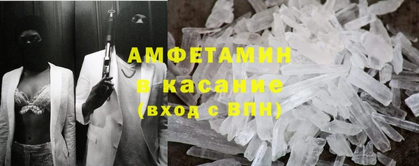амф Гусев